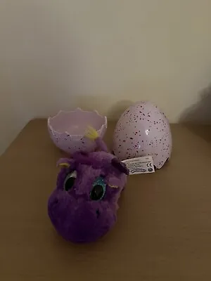 Buy Hatchimals Egg Purple Soft Toy Plush • 5.99£
