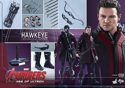 Buy Clearance Sale! 1/6 Hot Toys Mms289 Avengers Age Of Ultron Hawkeye Figure • 209.99£