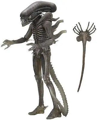 Buy Alien 40th Anniversary 7 Inch Action Figure ALIEN (Giger) • 42.84£
