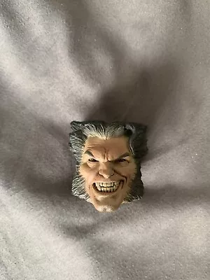 Buy Sideshow 1:6 Wolverine Head Sculpt  • 30£