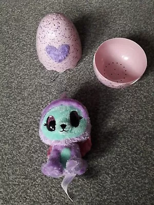 Buy Hatchimals Plush Soft Toy And Egg • 5£