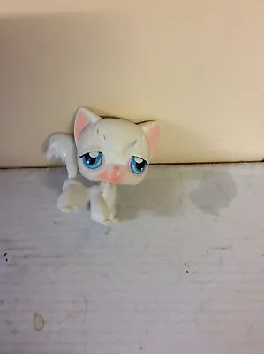 Buy My Littlest Pet Shop Hasbro Cat Angora Lomg White Hair Blue Eyes • 9.99£