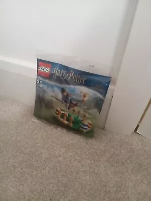 Buy LEGO Harry Potter: Quidditch Practice (30651) • 4.85£