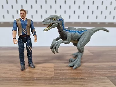 Buy Jurassic World Fallen Kingdom Owen Grady 3.75  & Blue Velociraptor Mattel Figure • 18.99£