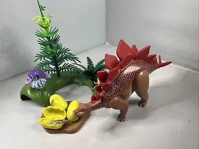 Buy Playmobil Stegosaurus Dinosaur Set 5232  • 16.99£