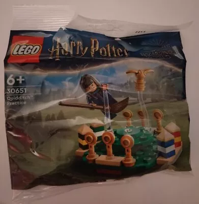 Buy LEGO Harry Potter: Quidditch Practice (30651)  • 3.50£