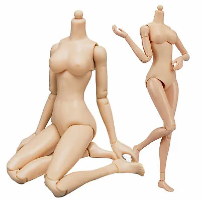 Buy 1/6 Scale Female Body 12inch Young Girl Figure Model Fit Phicen Hot Toys Head • 16.17£