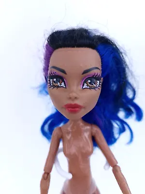 Buy Monster High Robecca Steam Doll Blue Black Purple Hair • 23.08£