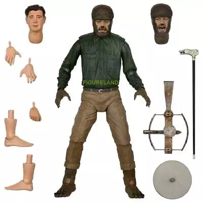 Buy Universal Monsters Ultimate Wolf Man (colour) 7  Scale Action Figure From Neca • 41.95£