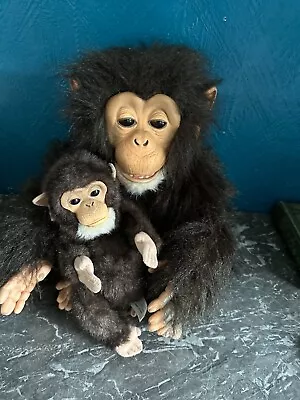 Buy Fur Real Friends Cuddle Chimp Monkey, Baby. Tiger Electronics Hasbro • 40£