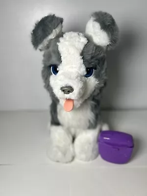 Buy FurReal Husky Dog Ricky Trick-Lovin' Pup Interactive Toy With Treats (Y5) • 49.99£