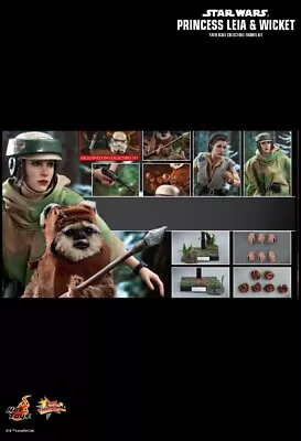 Buy Hot Toys MMS551 Star Wars EP6 Princess Leia And Wicket 1/6 Scale Figure Set UK • 555£