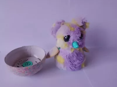 Buy Hatchimal Mystery Hatch - Fluffy Yellow/Purple Interactive  • 6£