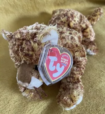 Buy Ty Beanie Baby Dotson - Jaguar - Mint Condition - Retired With Tags • 9.99£