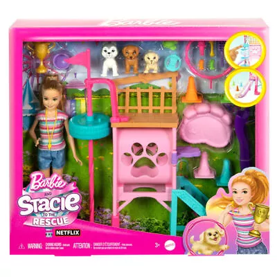 Buy Mattel Barbie Stacie To The Rescue Puppu Playground Playset + Doll • 59.73£