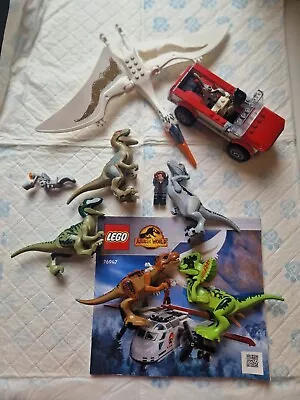 Buy LEGO Jurassic Park Minifig Dinosaurs & Partial Set   • 60£