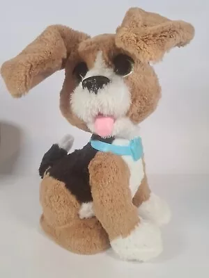 Buy FurReal Friends Chatty Charlie The Barkin' Beagle Interactive Plush Dog  • 6.50£