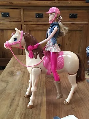 Buy Barbie And Palamino  Horse • 10£