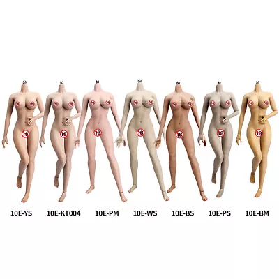 Buy 1/6 Scale Large Bust Seamless Female Body Figure Doll Fit Phicen Hot Toys Head • 49.17£