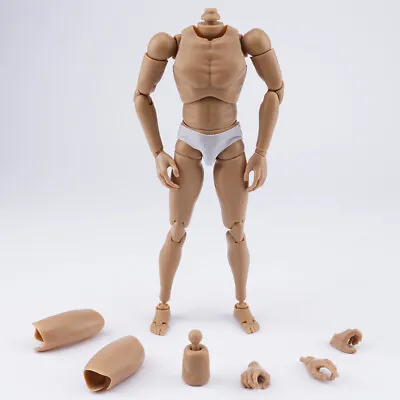 Buy 1/6 Male Figure Body Wide Shoulder Action Model B002 For 12inch Hot Toys Phicen • 17.49£
