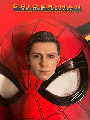 Buy Hot Toys QS015 Spiderman Homecoming 1/4 Quarter Scale Peter Parker Headsculpt • 89.99£