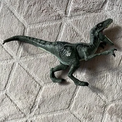 Buy Jurassic World JW Hasbro Velociraptor Action Figure 2015 Blue Dinosaur Park • 8.90£