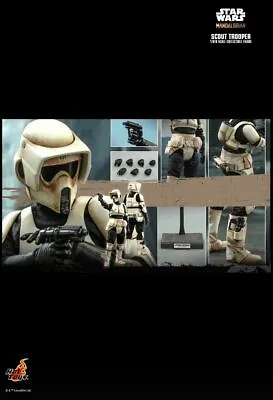 Buy Star Wars Hot Toys TMS016 Biker Scout Trooper 1/6 Scale New Sealed Shipper • 276£