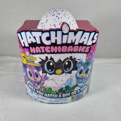 Buy Hatchimals Hatchibabies Will You Hatch A Boy Or A Girl Toy • 96.50£