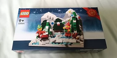 Buy LEGO Seasonal: Winter Elves Scene - 40564 - GWP  • 9.99£
