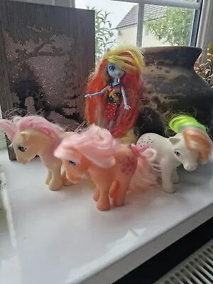 Buy My Little Pony Bundle Confetti, Peachy, Anniversary And Rainbow Dash • 18£