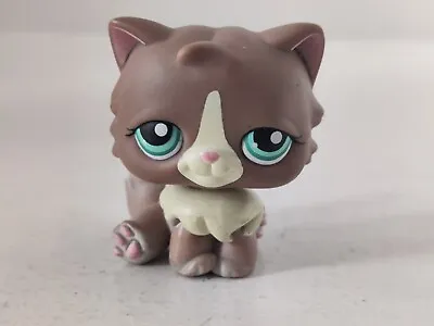 Buy Littlest Pet Shop LPS #371 Brown Persian Cat Hasbro Free Shipping Worldwide • 12.92£