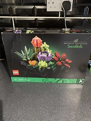 Buy LEGO CREATOR EXPERT: Succulents (10309) • 39.99£