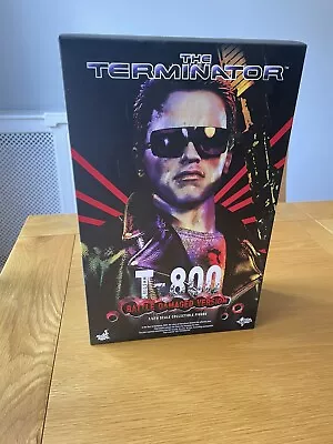 Buy Hot Toys MMS238 Terminator Battle Damaged 1/6th Scale Pre Owned • 127£