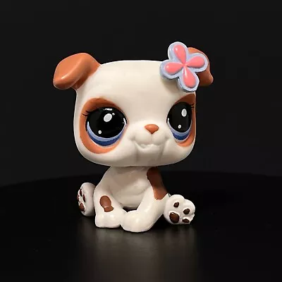 Buy LPS Hasbro Littlest Pet Shop Figure #2106 Blythe  Flower  Bulldog Bull Dog • 7.99£