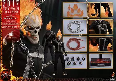 Buy 1/6 Hot Toys Tms005 Agents Of S.h.i.e.l.d. Ghost Rider Exclusive Version Figure • 569.99£