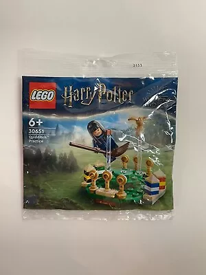 Buy LEGO Harry Potter: Quidditch Practice New And Sealed Polybag Set 30651 • 6£