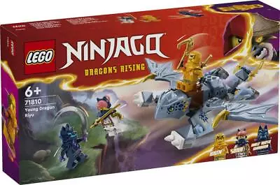Buy Lego Ninjago 71810 Young Dragon Riyu • 14.98£