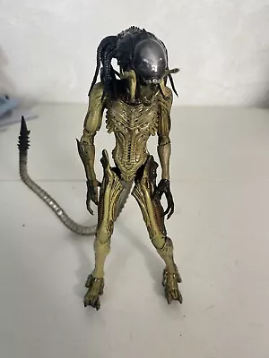 Buy HIYA Alien Vs. Predator Predalien Action Figure • 34.99£