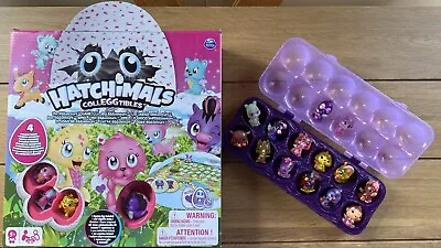 Buy Hatchimals Board Game And Egg Box Set Includes 18 Hatchimals • 15£