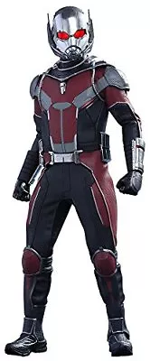 Buy Movie Masterpiece Civil War / Captain America Antman 1/6 Scale Plastic Figure • 166.49£