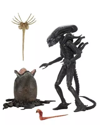 Buy Aliens 40TH Anniversary Big CHAP Ultimate 7IN Neca Figure 16461 • 60.04£