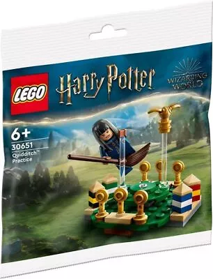 Buy LEGO Harry Potter Quidditch Practice 30651 Polybag, Medium  • 11.90£