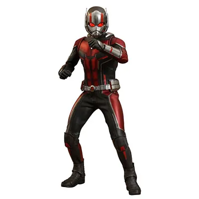 Buy Hot Toys  MARVEL Ant-Man & The Wasp Ant-Man 1/6 Action Figure 12  Diecast MMS497 • 284.53£