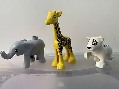 Buy Lego Duplo Zoo Animals Bundle Giraffe Elephant White Tiger Very Good Condition • 11.95£