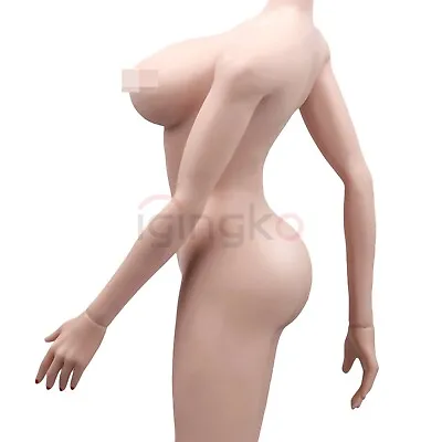 Buy 1/6 Seamless Female Figure Body Large Bust 12  For Hot Toys TBLeague Phicen Pink • 48.74£