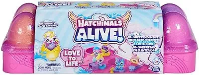 Buy HATCHIMALS Alive, Egg Carton Toy With 5 Mini Figures In Self-Hatching Eggs, 11 • 24.99£