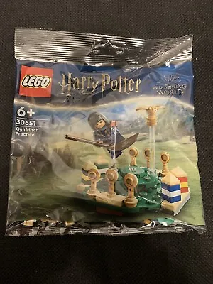 Buy LEGO Harry Potter: Quidditch Practice (30651) - Brand New & Sealed • 4.85£