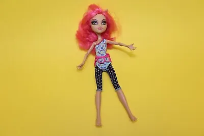 Buy Monster High Doll Mattel Howleen Wolf 13 Wishes • 15.42£