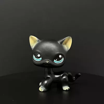 Buy LPS Hasbro Littlest Pet Shop Figure #994 Black Shorthair Siamese Cat  • 9.99£