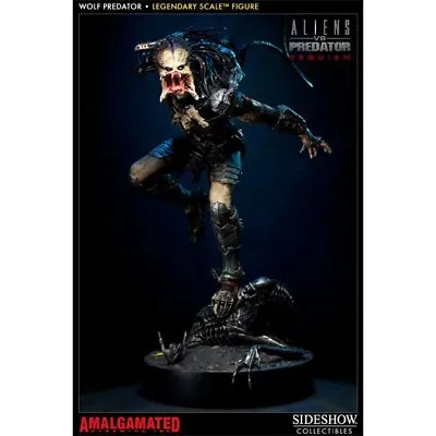 Buy Sideshow Collectibles Wolf Predator Legendary Scale Figure • 3,299£